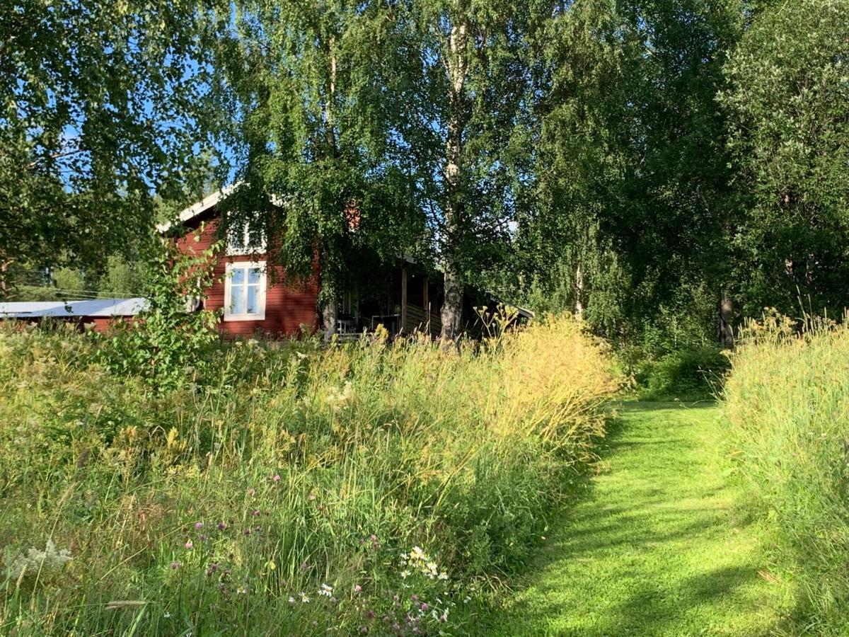 Bogaerdan, Cozy Cabin By The Lulea River Harads Dış mekan fotoğraf
